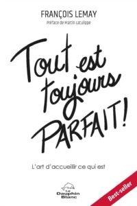 tout-est-toujours-parfait-couvert-best-seller